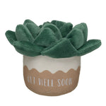 HB GET WELL PLANT - US 9716