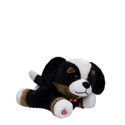 Promise Pets Bernese Mountain Dog Stuffed Animal Mini Beans Gift Set | Build-A-Bear - US 5878