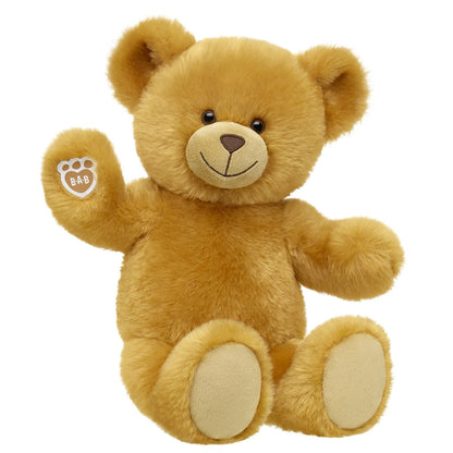 Read Teddy Bear | Build-A-Bear® - US 5013